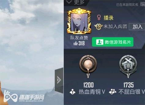 手机和平精英辅助透视